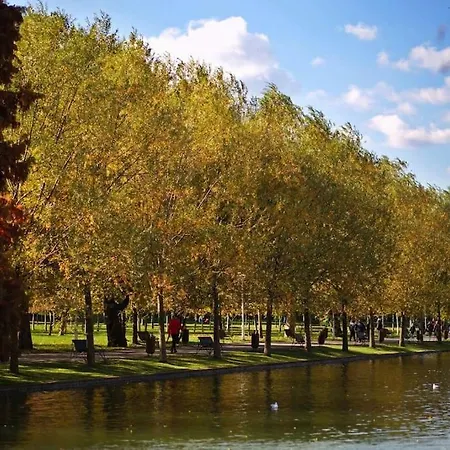 דירה Excellent Price For A Family Or Group Of Travelers בוקרשט