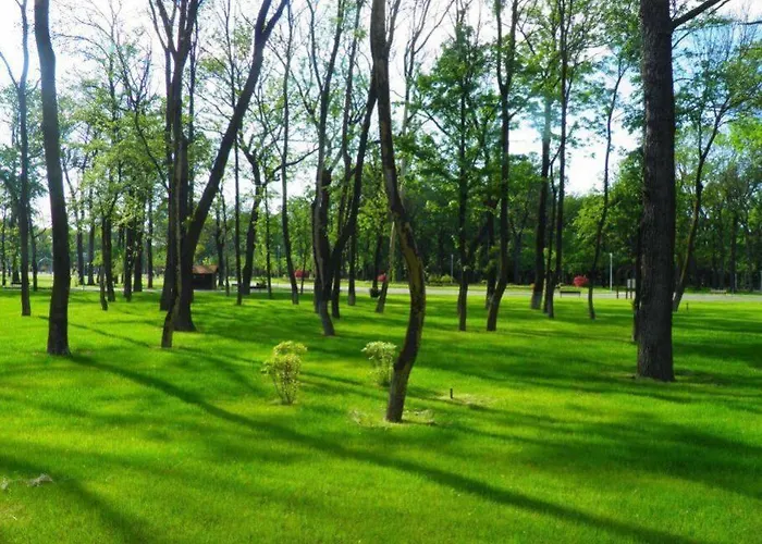 Excellent Price For A Family Or Group Of Travelers 아파트 부쿠레슈티